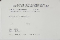 紅檜藏品圖，第2張