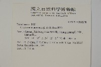 柳杉藏品圖，第2張