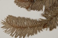 杉木藏品圖，第5張