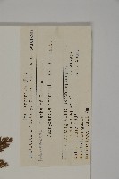 登錄號:G000290藏品圖，第2張