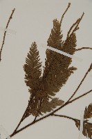 登錄號:G000290藏品圖，第3張