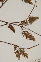 登錄號:G000290藏品圖，第4張