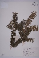 登錄號:G000292藏品圖，第1張