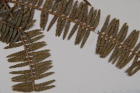 登錄號:G000292藏品圖，第4張