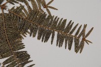 登錄號:G000292藏品圖，第5張