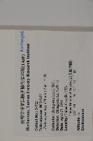 竹柏藏品圖，第2張