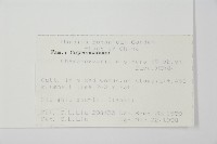 日本花柏藏品圖，第2張