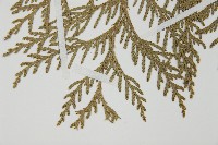 日本花柏藏品圖，第4張