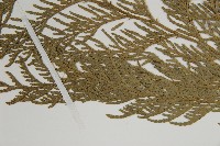 日本花柏藏品圖，第5張