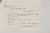 馬尾松藏品圖，第2張