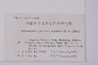 水杉藏品圖，第2張