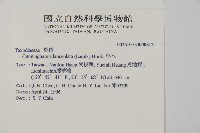 杉木藏品圖，第2張