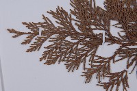 登錄號:G000317藏品圖，第4張