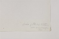 大果紅杉藏品圖，第2張