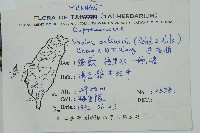 方枝柏藏品圖，第2張