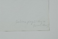 垂枝香柏藏品圖，第2張