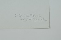 滇藏方枝柏藏品圖，第2張