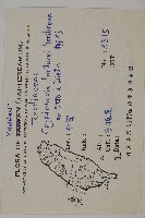 柳杉藏品圖，第2張