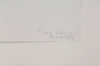 麗江雲杉藏品圖，第2張