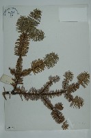 登錄號:G000356藏品圖，第1張