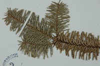 登錄號:G000356藏品圖，第3張