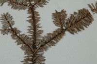 登錄號:G000356藏品圖，第4張