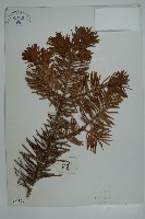 登錄號:G000357藏品圖，第1張