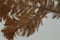 登錄號:G000357藏品圖，第4張