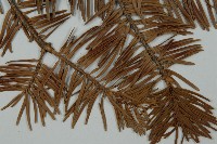 登錄號:G000357藏品圖，第5張