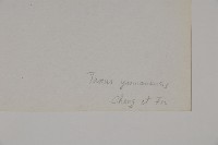 雲南紅豆杉藏品圖，第2張