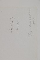 雲南鐵杉藏品圖，第2張