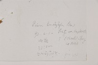 油麥吊雲杉藏品圖，第2張