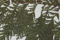 日本花柏藏品圖，第4張