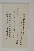 柳杉藏品圖，第2張