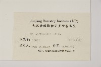 馬尾松藏品圖，第2張