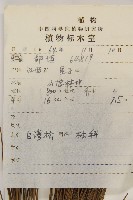 臺灣二葉松藏品圖，第2張