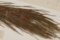 登錄號:G000391藏品圖，第4張