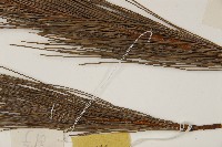 登錄號:G000391藏品圖，第5張