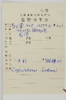 三尖杉藏品圖，第2張