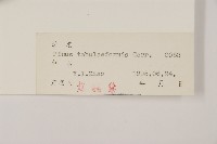 油松藏品圖，第2張