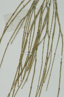 草麻黃藏品圖，第4張