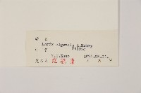 長白落葉松藏品圖，第2張