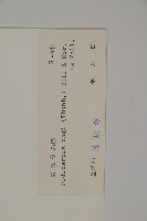 竹柏藏品圖，第2張