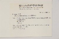臺灣冷杉藏品圖，第2張