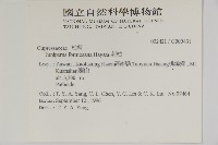 刺柏藏品圖，第2張