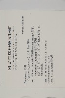 柳杉藏品圖，第2張