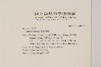 鐵杉藏品圖，第2張