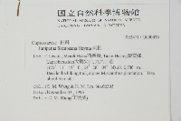 刺柏藏品圖，第2張