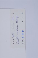 買麻藤藏品圖，第2張