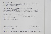 臺灣扁柏藏品圖，第2張